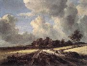 Wheat Fields Jacob van Ruisdael
